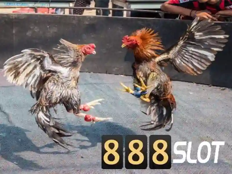 888slot vip - đỉnh cao trải nghiệm slot trực tuyến