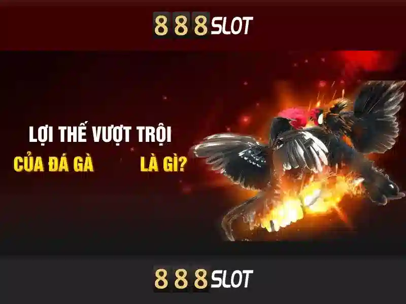 download 888slot apk – Trải nghiệm và đánh giá chuyên sâu