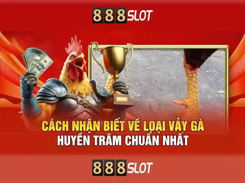Trải nghiệm người dùng trên 888slot