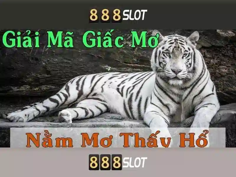 888 slot free bet – Tổng quan chủ đề và giá trị cốt lõi