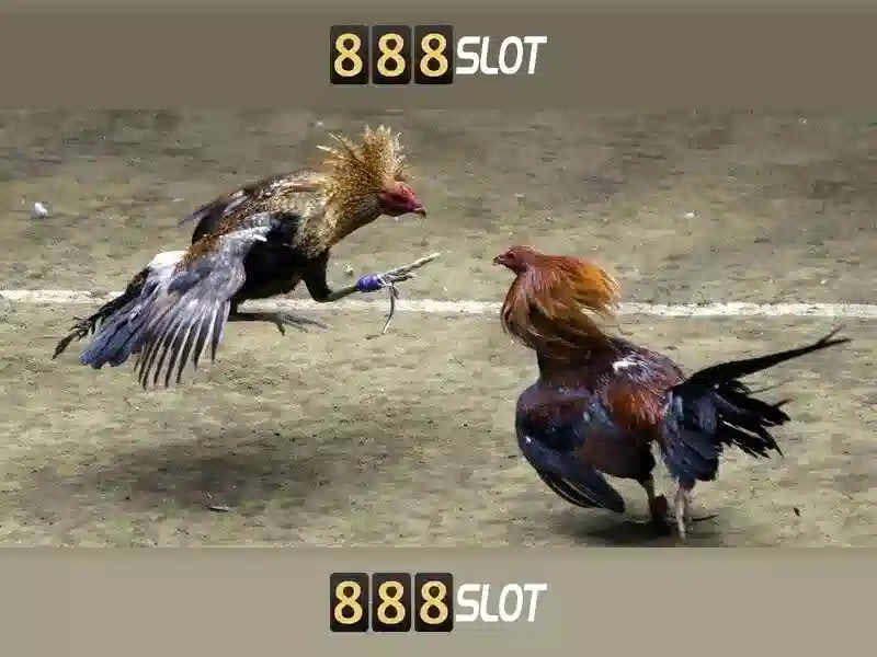 Giới thiệu về 888slot