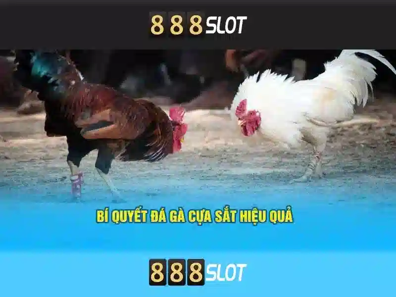 Giao diện người dùng