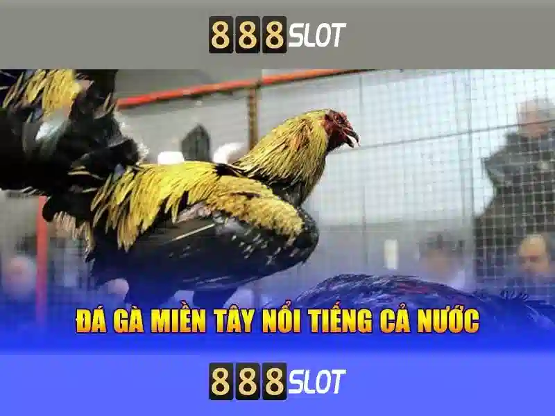 Tính năng nổi bật của 888slot