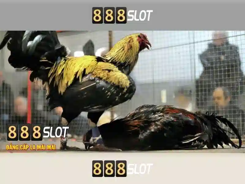888slot – Đánh giá và trải nghiệm trò chơi slots trực tuyến