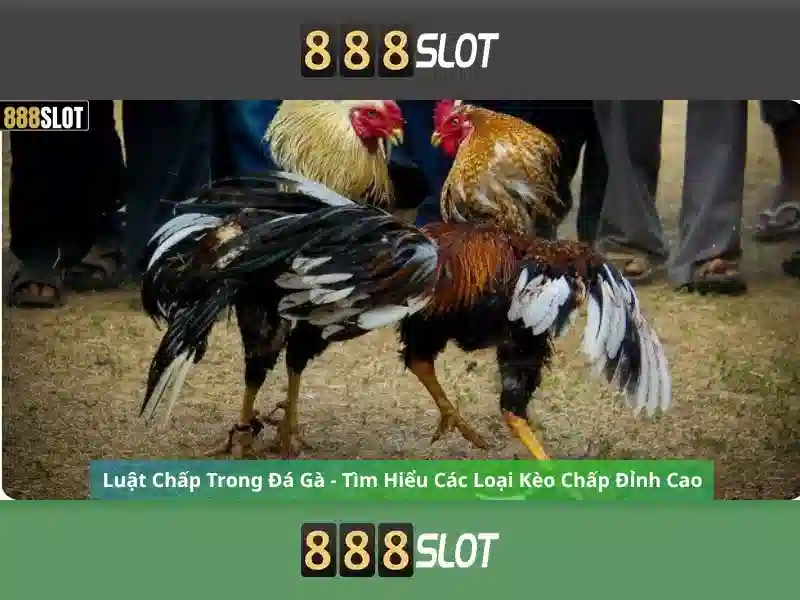 Trò chơi và khe máy