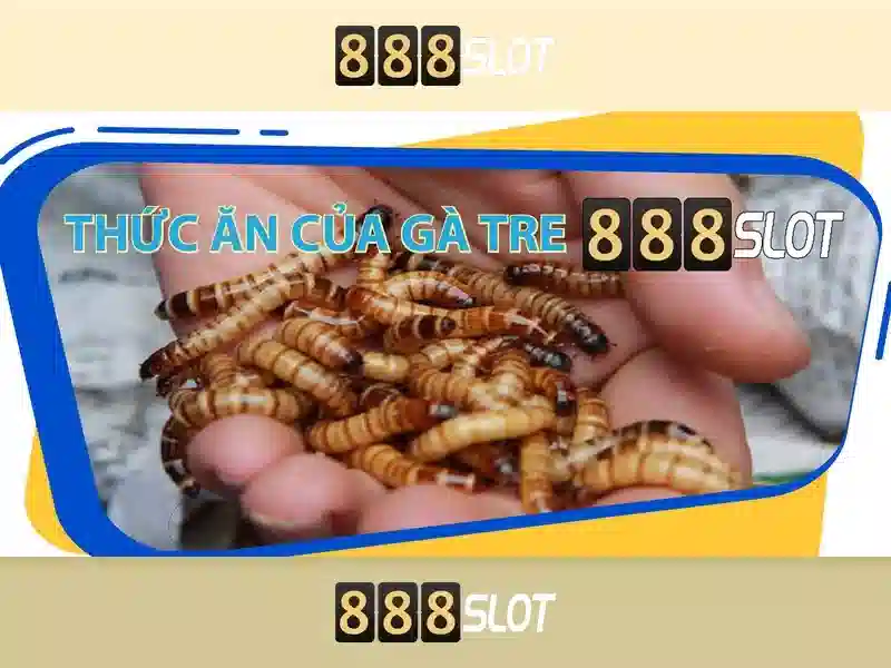 Mẹo chơi bắn cá 3 cây dễ ăn tiền nhà cái