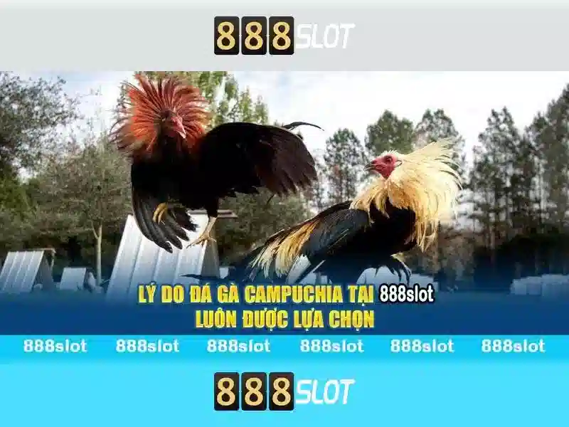 Mẹo chơi bắn cá 3 cây dễ ăn tiền nhà cái