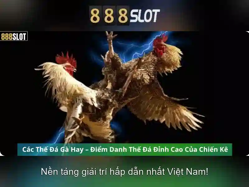 888slot - Đánh giá và trải nghiệm nền tảng trò chơi trực tuyến