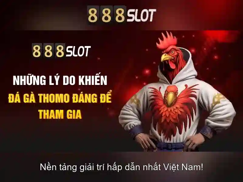 Khuyến mãi và chương trình thưởng\n\n<h>Kết luận</h>\n<p><span style=