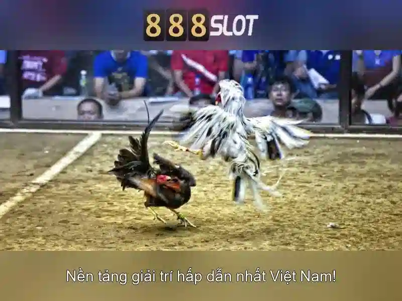 Trải nghiệm trò chơi đa dạng