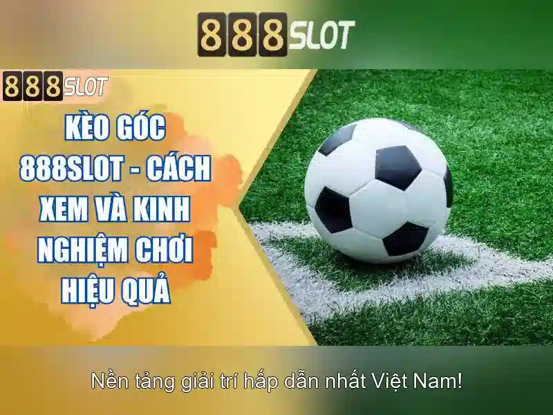 An toàn và cấp phép