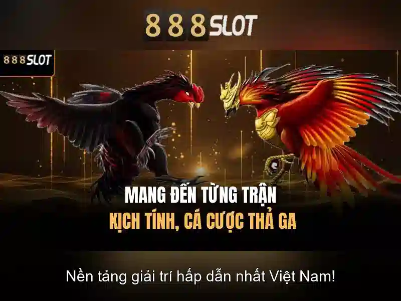 Cộng đồng và nhận xét