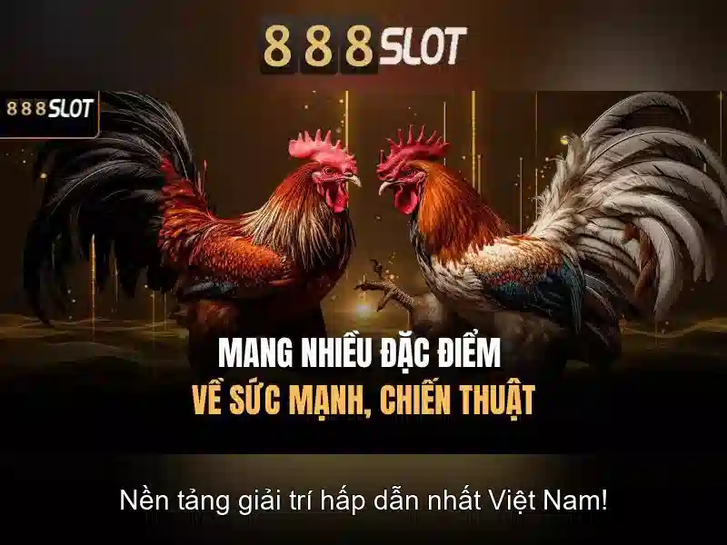 Mẹo chơi bắn cá 3 cây dễ ăn tiền nhà cái