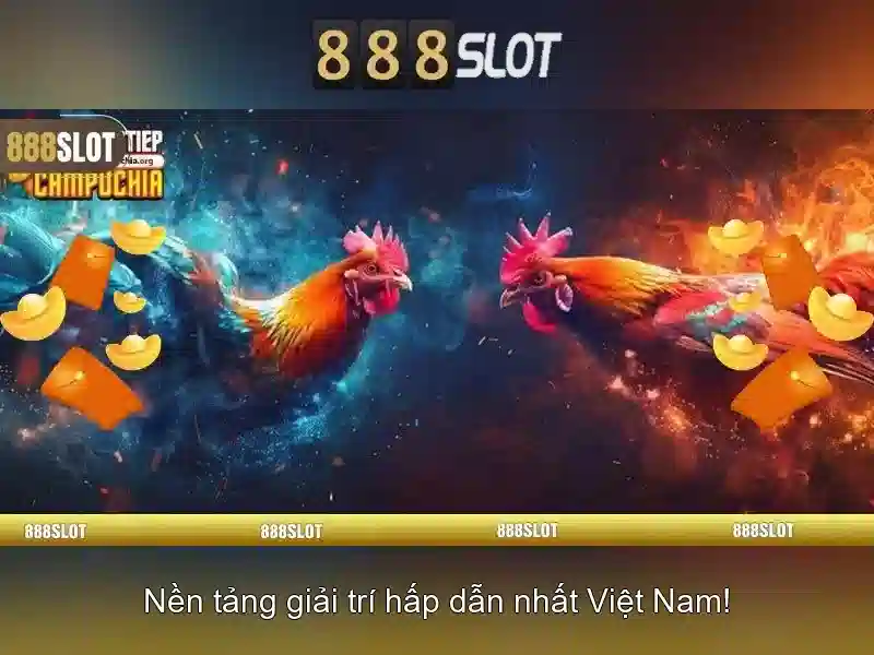 Cảm nhận về trải nghiệm người dùng