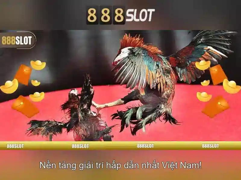 Khuyến mãi và chương trình thưởng