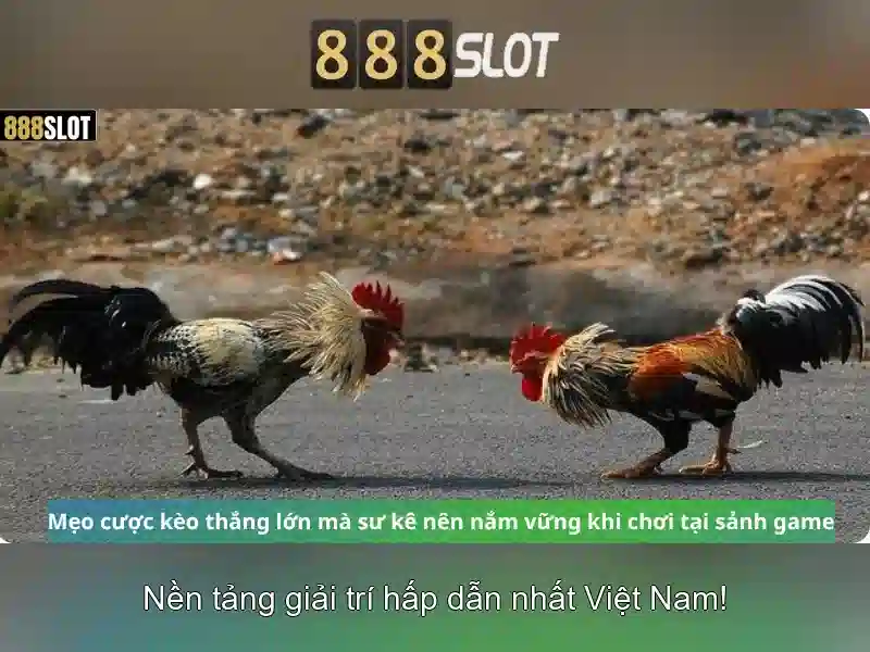 Mẹo chơi bắn cá 3 cây dễ ăn tiền nhà cái