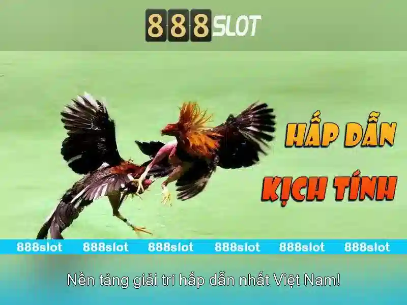 An toàn và bảo mật khi chơi tại 888slot