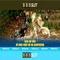 888slot: Trải nghiệm chơi slot hàng đầu