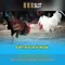 888slot: Trải nghiệm chơi slot trực tuyến đáng tin cậy tại Việt Nam
