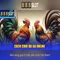 888slot – Trải nghiệm casino slot trực tuyến hàng đầu tại Việt Nam
