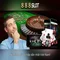888slot - Nền tảng slot trực tuyến đáng tin cậy tại Việt Nam