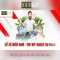 888slot - Đánh giá và Trải nghiệm chơi game trực tuyến