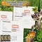888slot: Trải nghiệm casino trực tuyến uy tín tại Việt Nam