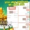 Mild 888 slot: tổng quan, trải nghiệm và đánh giá
