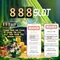 888Slot: Đánh giá và Trải nghiệm Casino Trực tuyến