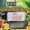 888slot: Cổng trò chơi đánh bạc trực tuyến uy tín và giải trí