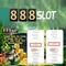 888Slot: Trải nghiệm chơi slot trực tuyến đỉnh cao